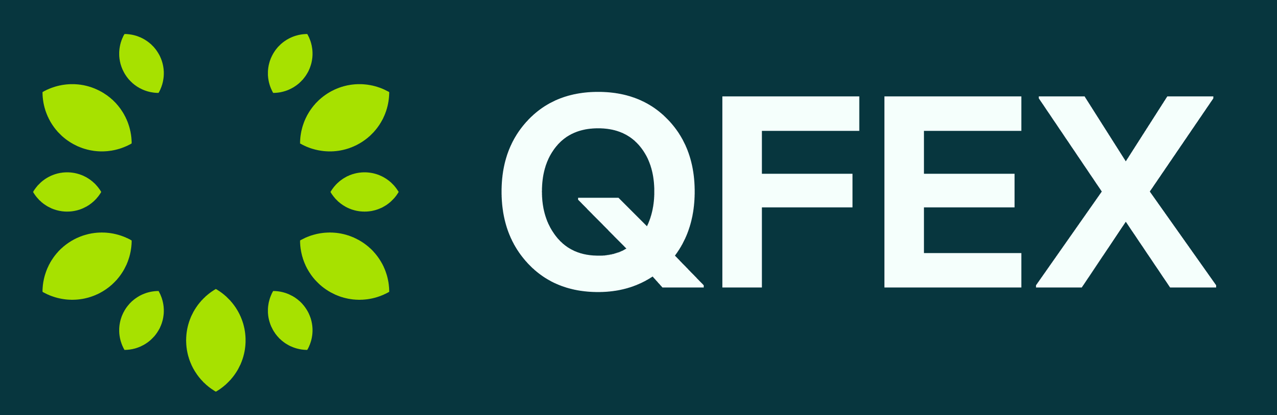 What Does QFEX Do? - Company Overview | Directory